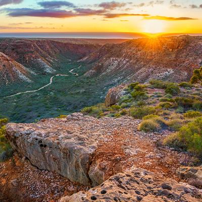 Decorative image - wide Australian bush landscape at dawn