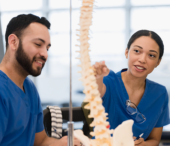 Nursing studies