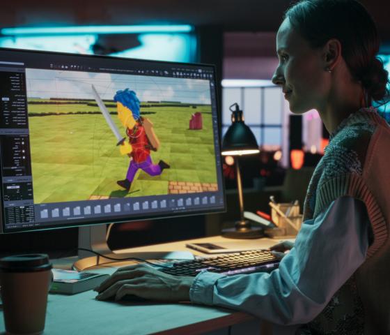 Decorative image - Lady using computer