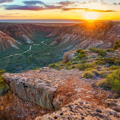 Decorative image - wide Australian bush landscape at dawn
